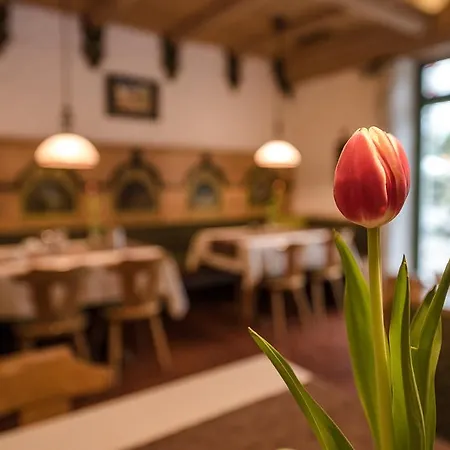 Отель Am Schloss Иллертиссен